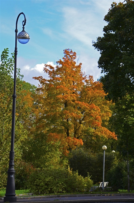 Осень в Кронштадте