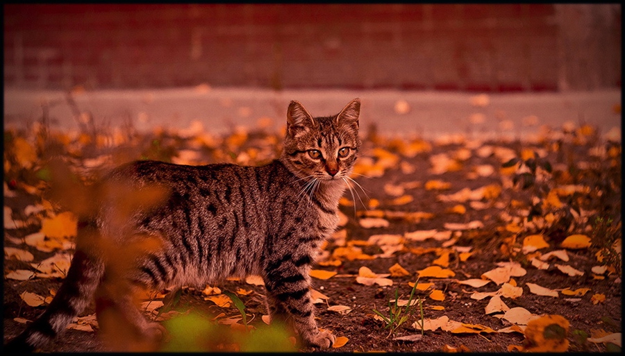 Фото жизнь