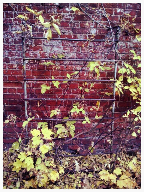 Фото жизнь (light) - serenata - корневой каталог - *