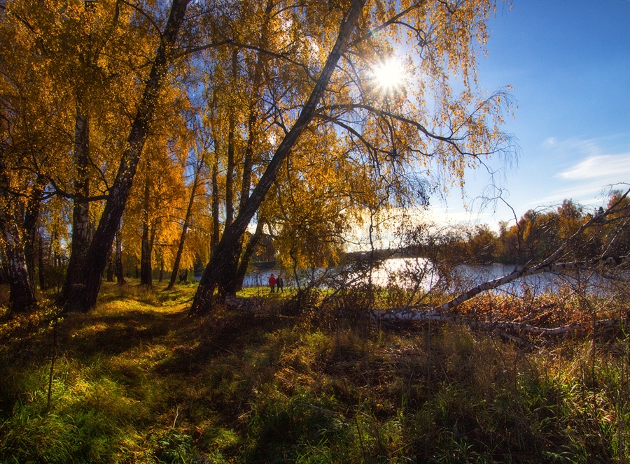 Фото жизнь