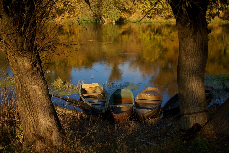 Фото жизнь