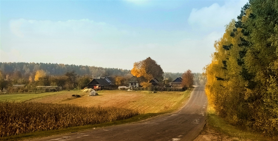 Фото жизнь