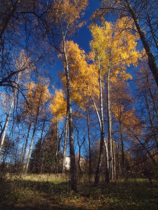 Фото жизнь
