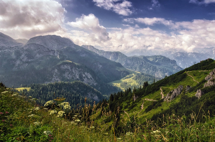 Фото жизнь