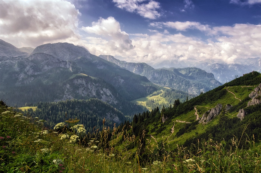 Фото жизнь