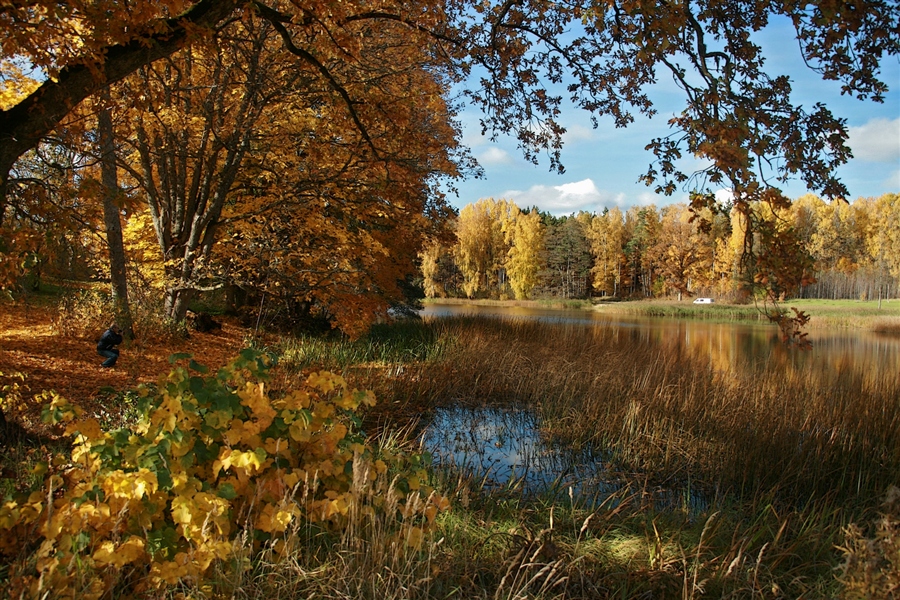 Фото жизнь