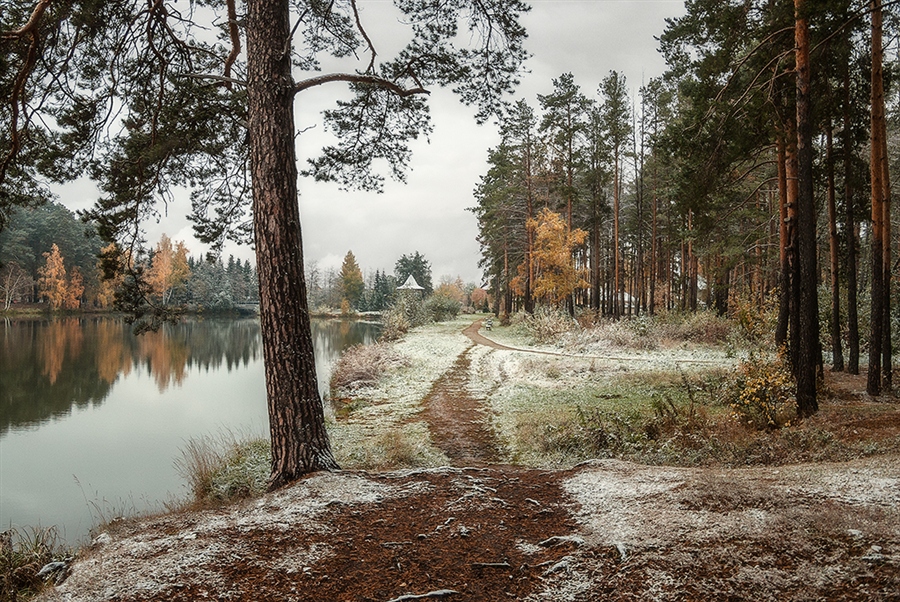 Фото жизнь