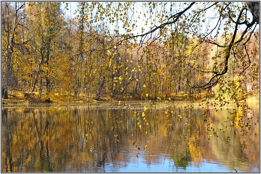 Фото жизнь