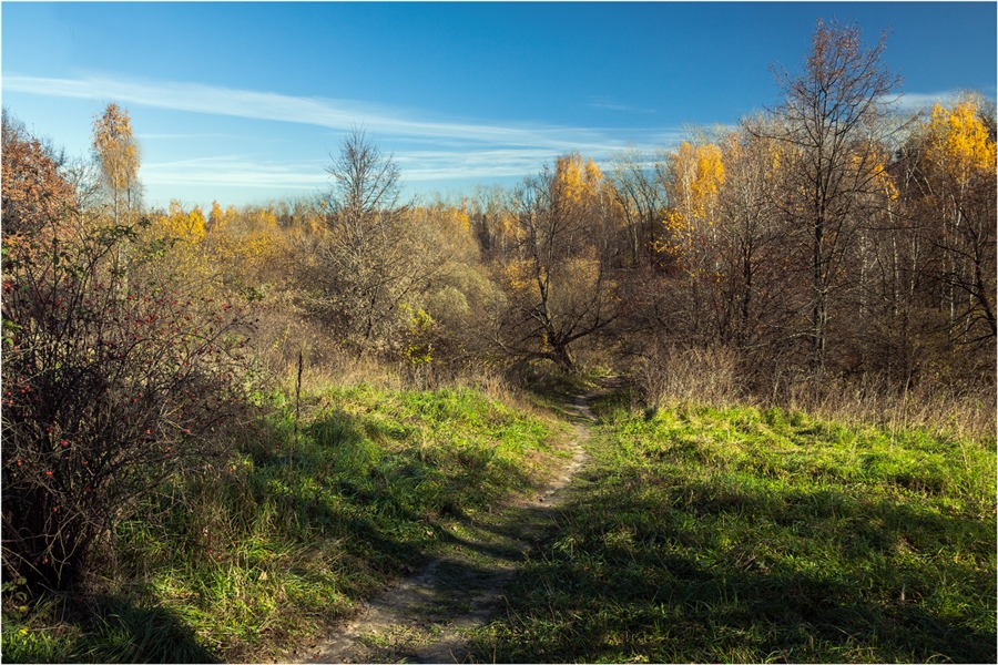 Фото жизнь