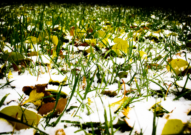 Фото жизнь (light) - Артемий Горбань - Пейзаж - До встречи...