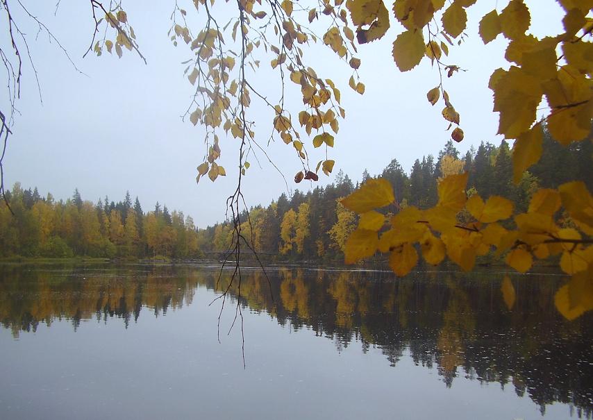 Фото жизнь - Solveig - Финские картинки - цвета осени