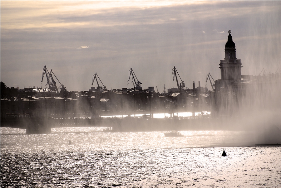 Фото жизнь