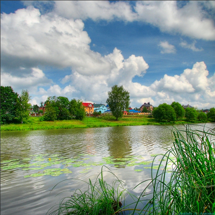 Фото жизнь