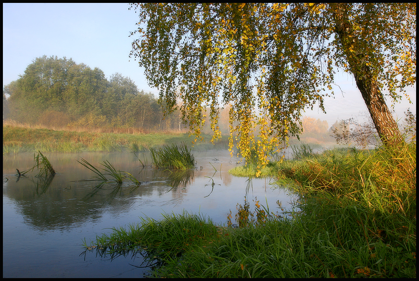 Фото жизнь (light) - nattti - корневой каталог - Утро на Уче
