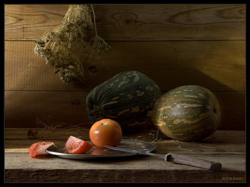 Фото жизнь (light) - Kим и Буран - Still Life - натюрморт с дольками помидора