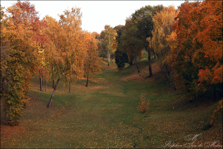 Фото жизнь (light) - Malena - ПРИРОДА - ...осень...