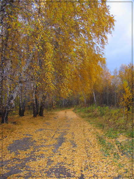 Фото жизнь (light) - Pavel_Byankin - корневой каталог - Осень...
