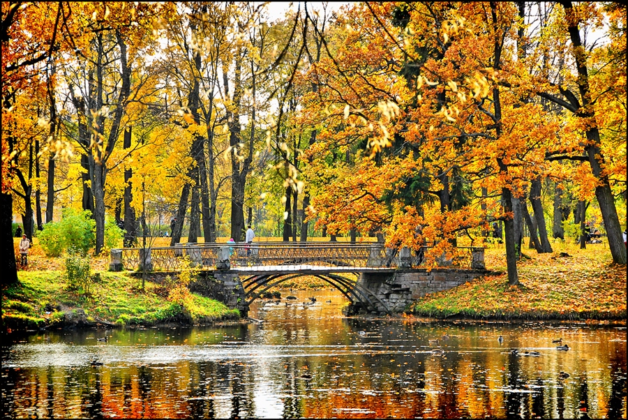 Фото жизнь