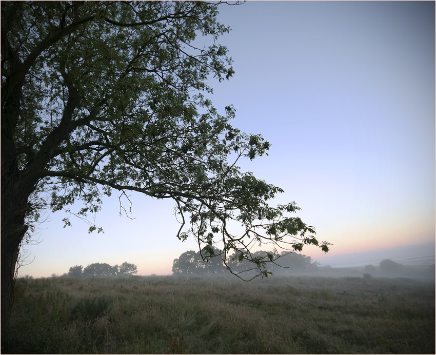 Фото жизнь - Nio L - Landscapes - Morning mist