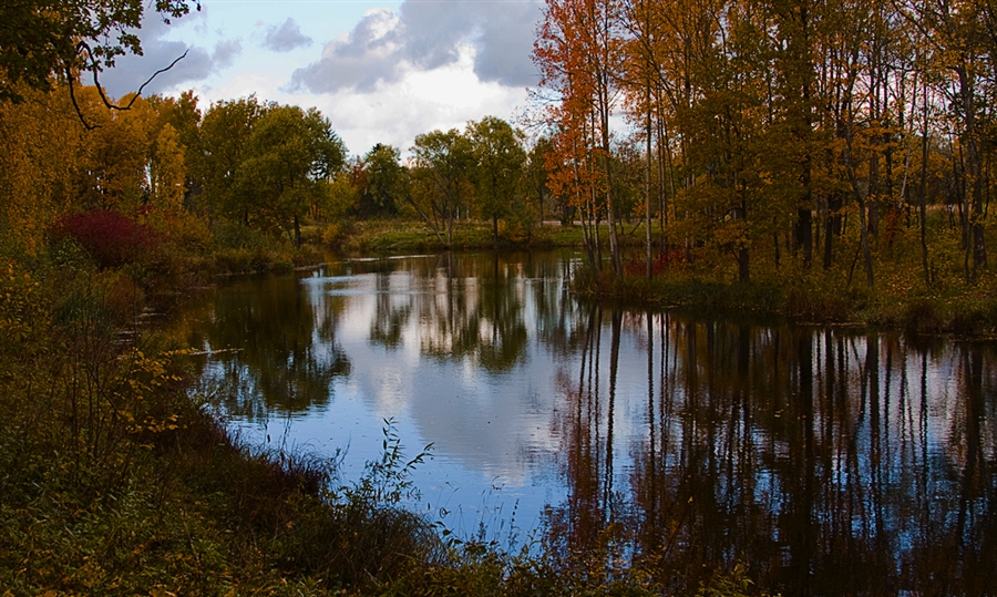 Фото жизнь