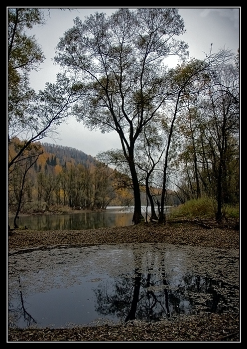 Фото жизнь