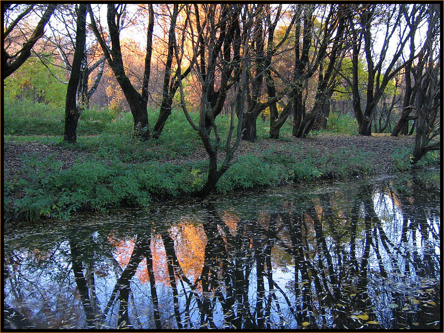 Фото жизнь (light) - Настя Крючкова - прогулки по Измайлову... - Сегодня в Измайлово осень...