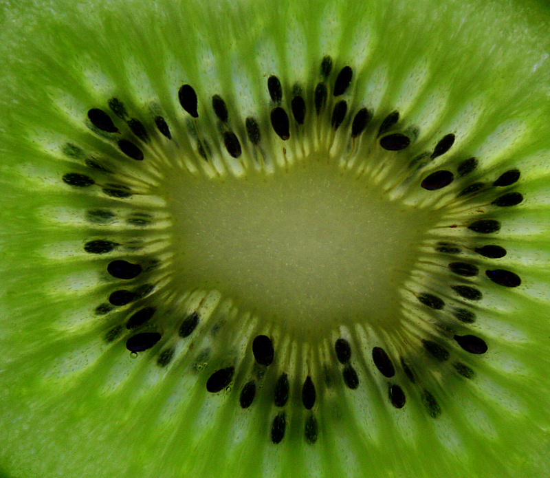 Фото жизнь (light) - podzins - корневой каталог - kiwi