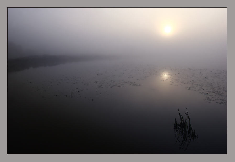Фото жизнь (light) - JAndrei - П Е Й З А Ж - Затянувшаяся осенью тумана.