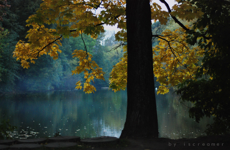 Фото жизнь (light) - iscreamer - корневой каталог - молчаливый страж, остывающий пруд, погружение в осень