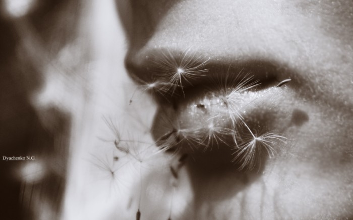 Фото жизнь (light) - Dyachenko_Nikolay - моменты из жизни - *