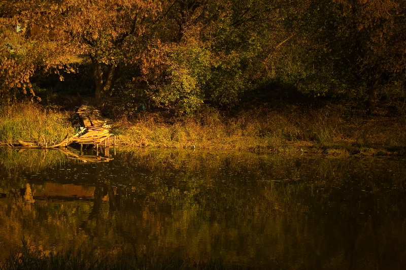 Фото жизнь (light) - Rostik - корневой каталог - ***