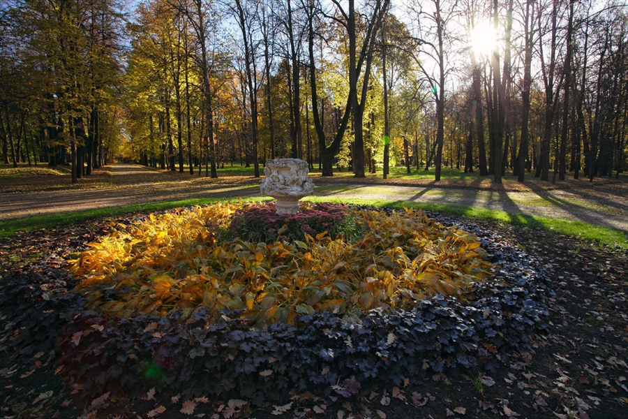 Фото жизнь