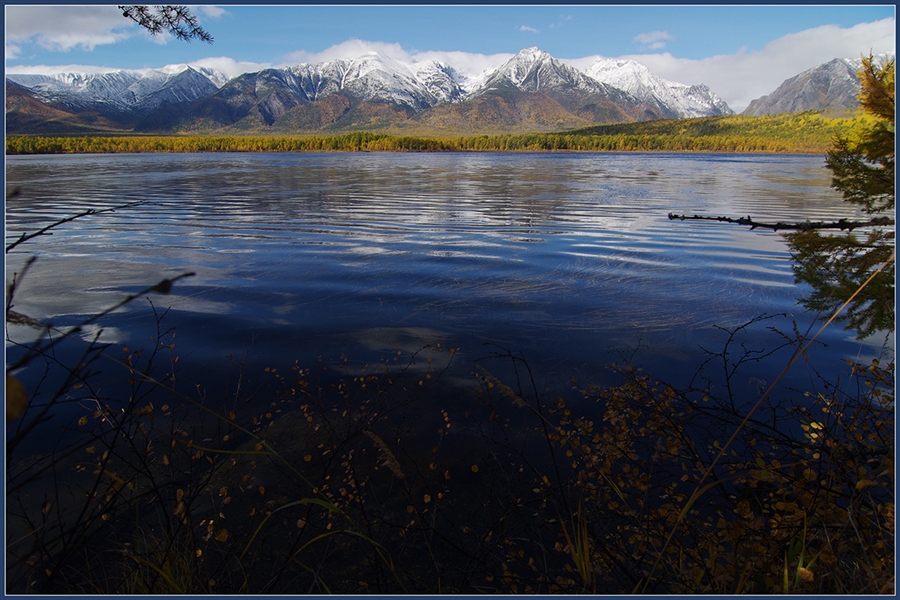 Фото жизнь