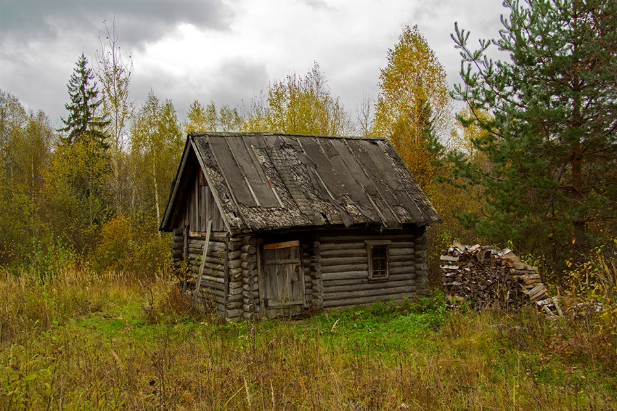 Фото жизнь