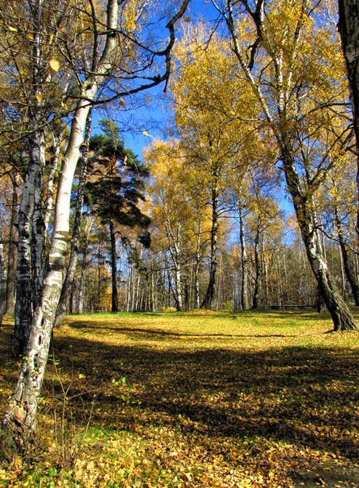 Фото жизнь
