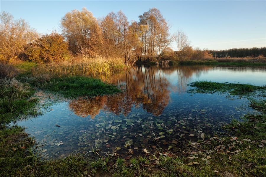 Фото жизнь