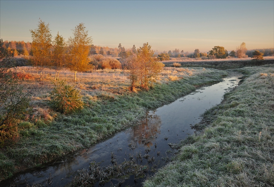 Фото жизнь