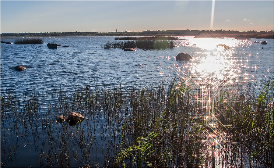 Фото жизнь