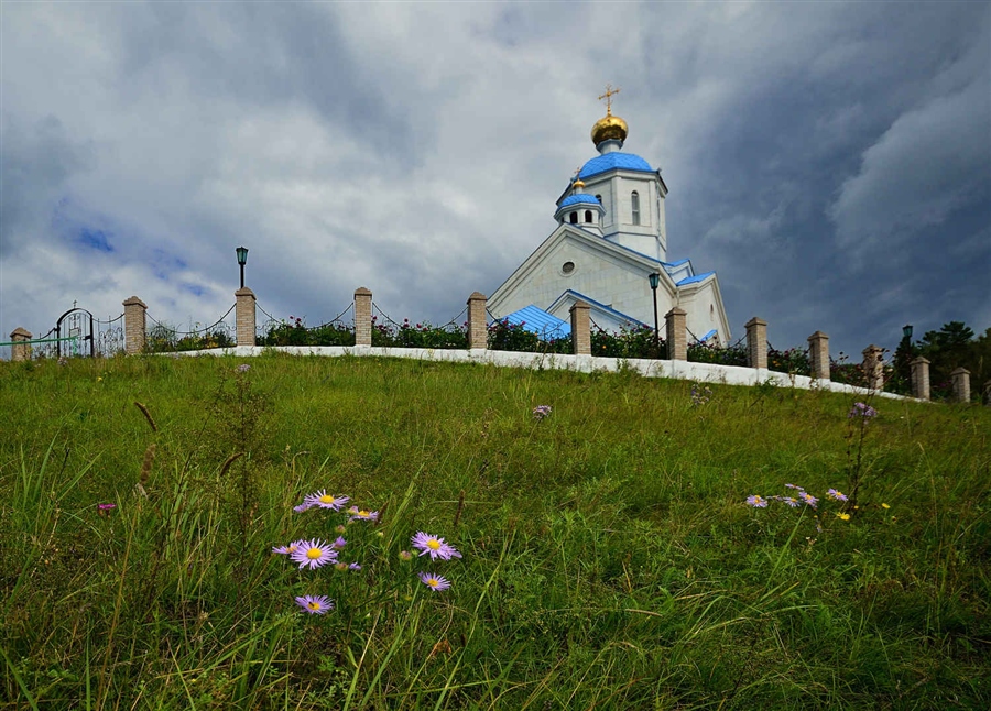 Фото жизнь