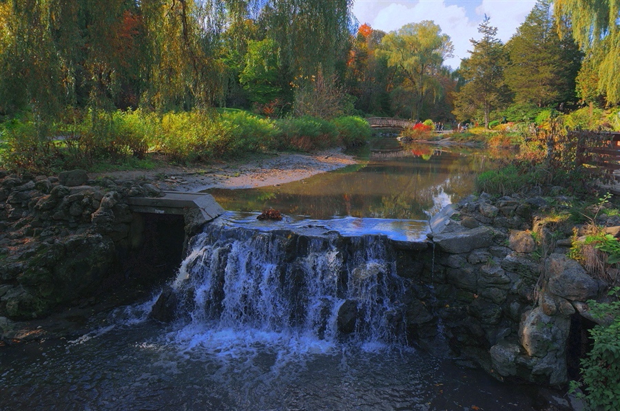 Фото жизнь