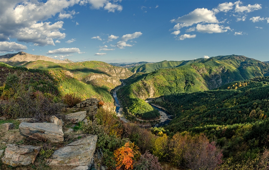 Фото жизнь