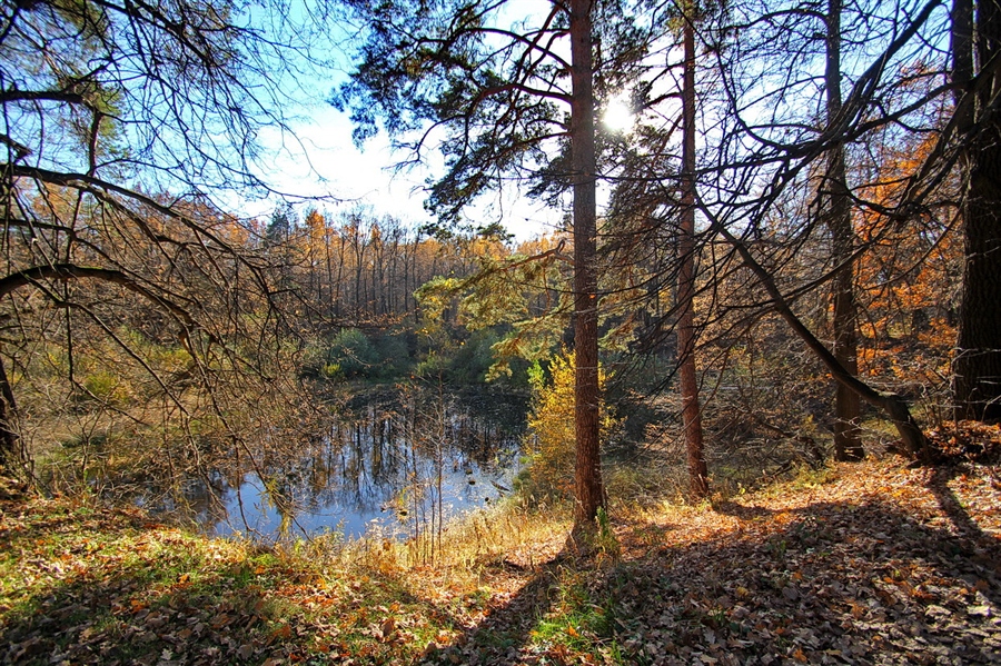 Фото жизнь