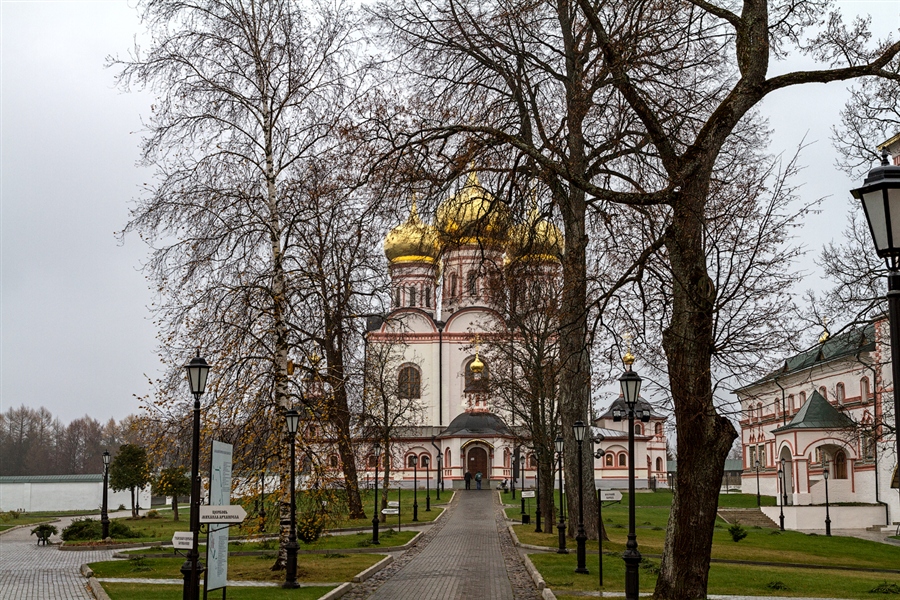 Фото жизнь