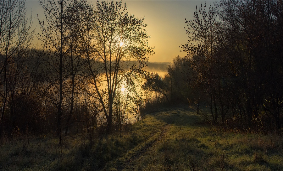Фото жизнь