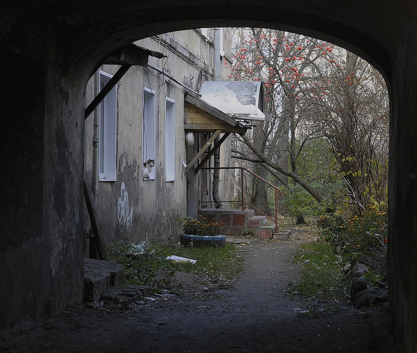 Фото жизнь