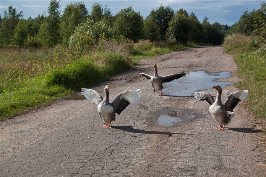 Фото жизнь