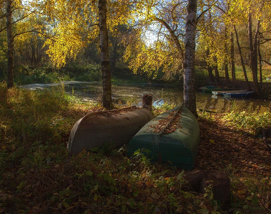 Фото жизнь