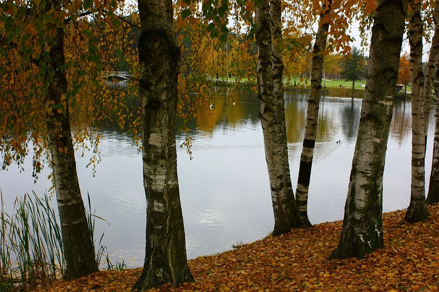Фото жизнь