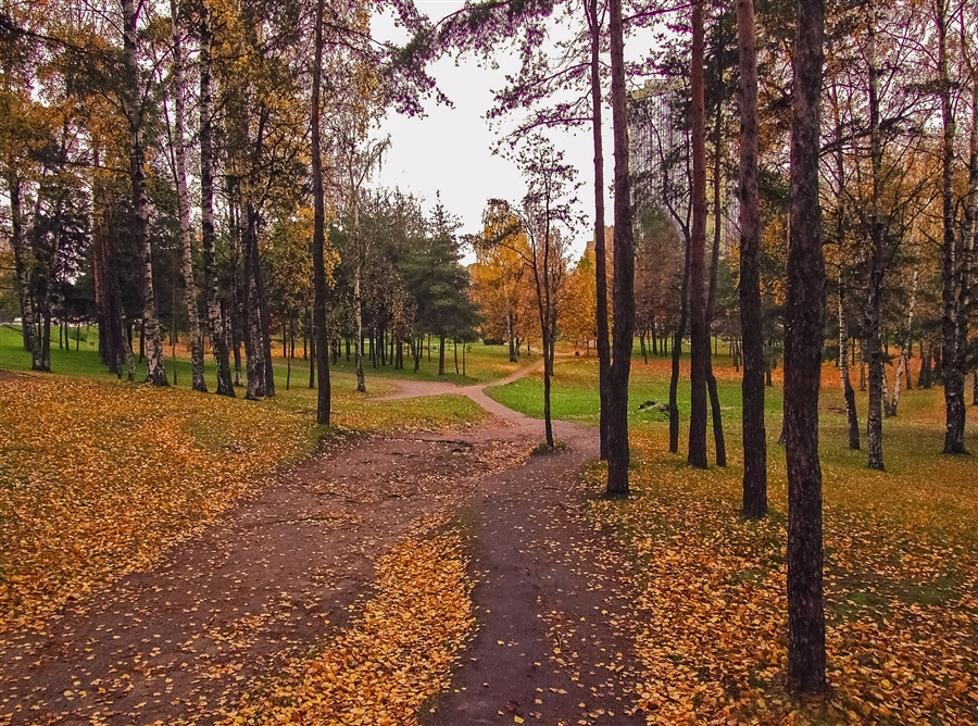 Фото жизнь