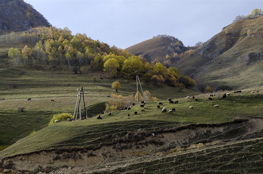 Фото жизнь